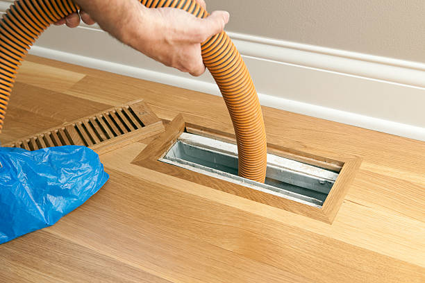 Best Dryer Vent Cleaning Services  in Holly Hill, FL